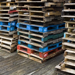 Photo by Jason Houston, www.jasonhouston.com